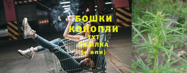PSILOCYBIN Краснотурьинск