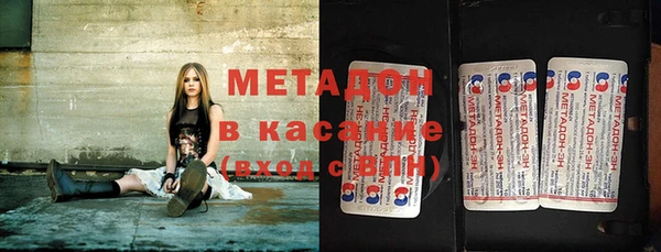 прущие грибы Белокуриха