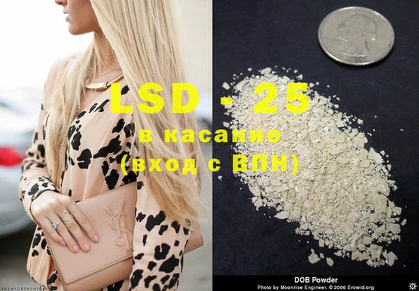 PSILOCYBIN Краснотурьинск
