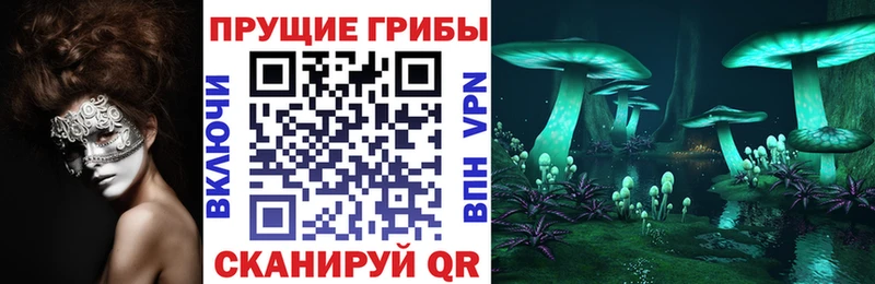 Галлюциногенные грибы GOLDEN TEACHER  наркота  Новочеркасск 