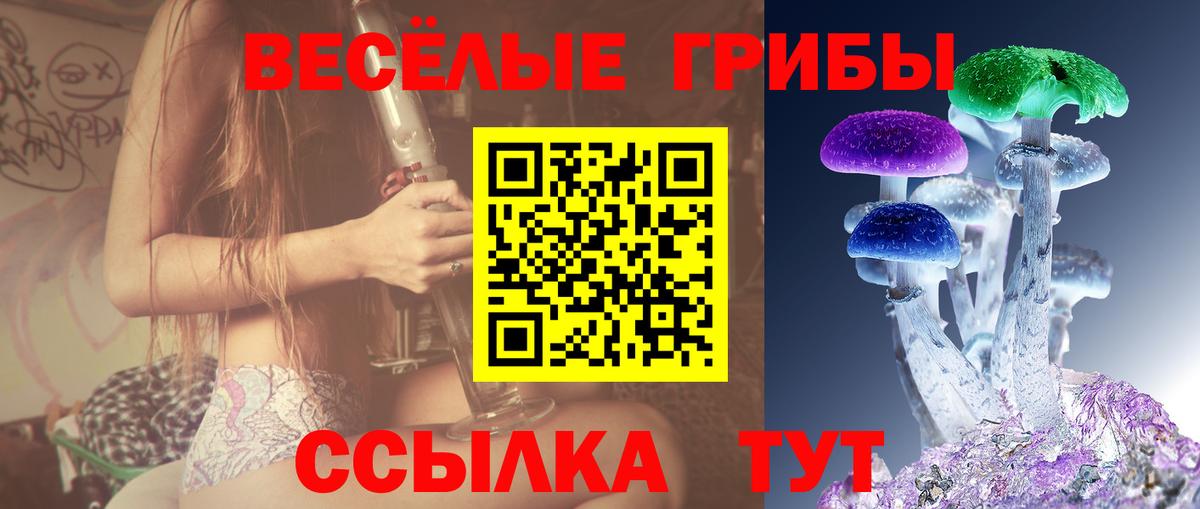 Псилоцибиновые грибы Psilocybine cubensis Новочеркасск